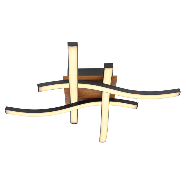 Stropné svietidlo EVITA - 20W, 2350/1200lm, IP20 - 67171-20