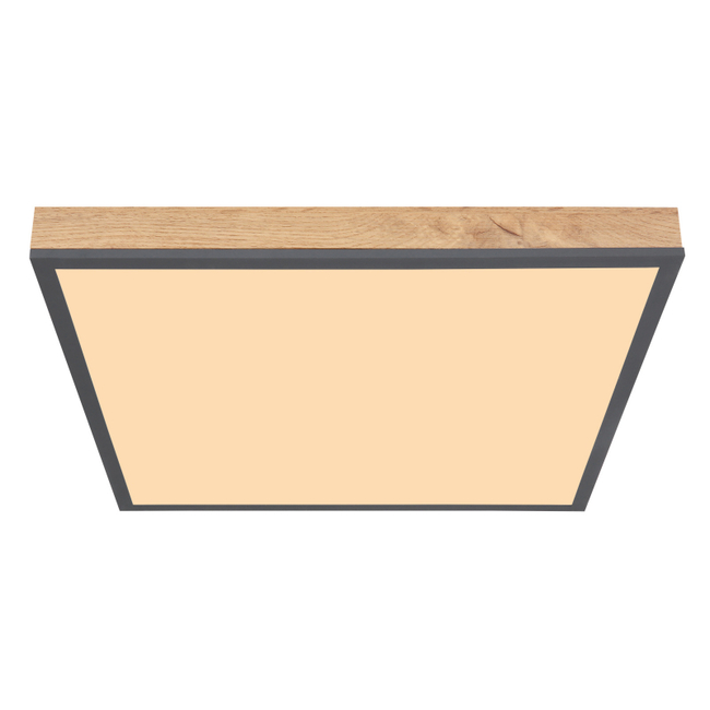 Stropné svietidlo DORO - 416080WD2