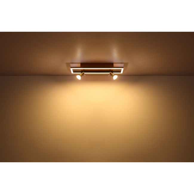 Stropné svietidlo IDA - 8W, 800/500lm, IP20 - 57034-1