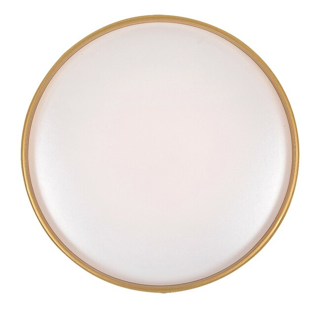 Stropné svietidlo GANDOR - 24W, 1850lm, IP20