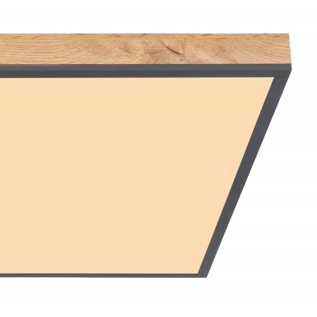 Stropné svietidlo DORO - 416080WD3