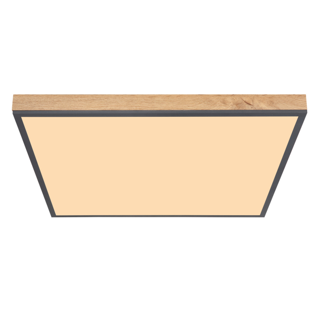 Stropné svietidlo DORO - 416080WD3