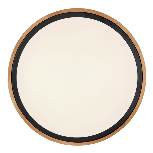 Stropné svietidlo BRUNO - 12W, 1200/530lm, IP20 - 41764-12