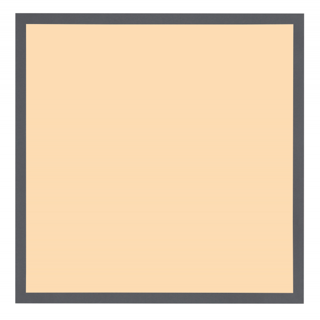 Stropné svietidlo DORO - 416080WD3