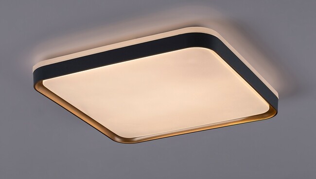 Stropné svietidlo LIATRIS - 26W, 1450lm, IP20