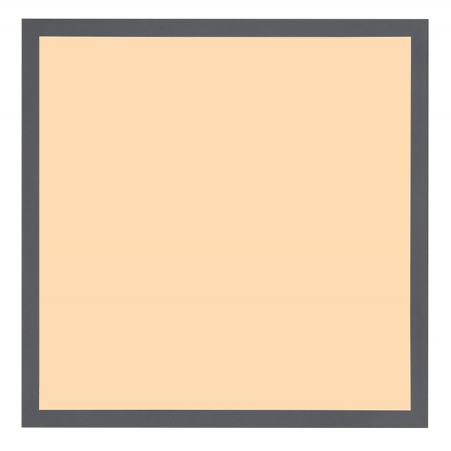 Stropné svietidlo DORO - 416080WD2