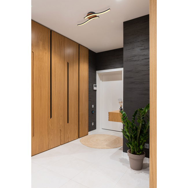 Stropné svietidlo EVITA - 12W, 1250/800lm, IP20 - 67171-12