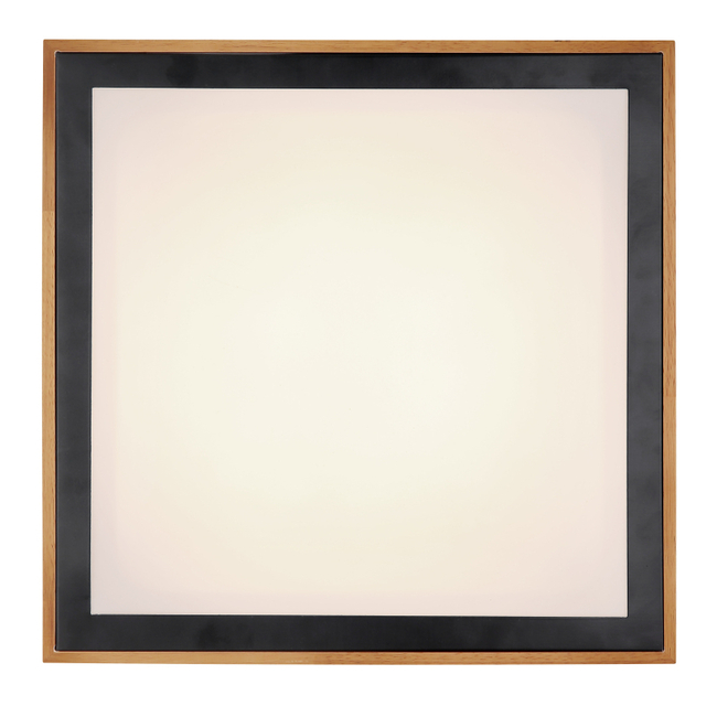 Stropné svietidlo BRUNO - 24W, 2500/1020lm, IP20 - 41764-24Q