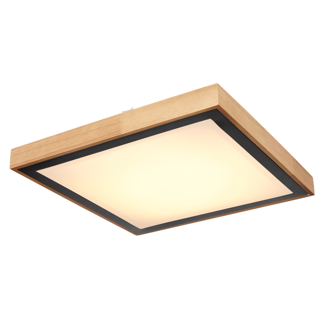 Stropné svietidlo BRUNO - 24W, 2500/1020lm, IP20 - 41764-24Q