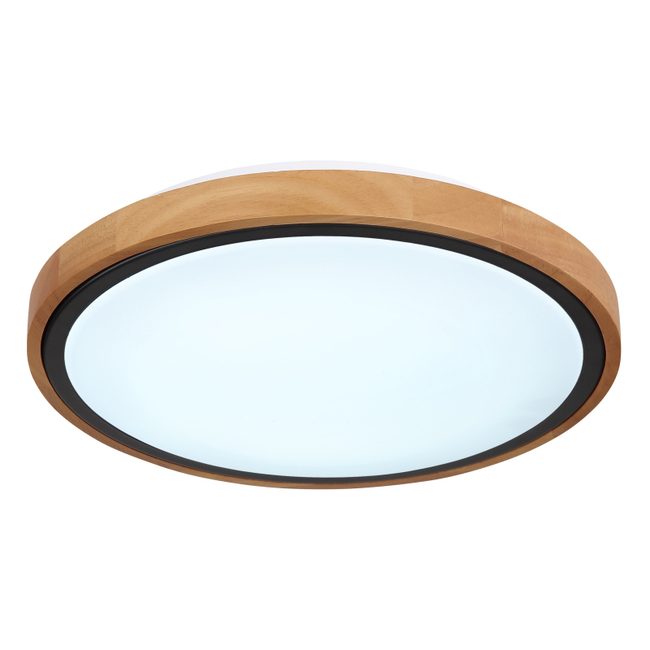 Stropné svietidlo BRUNO - 12W, 1200/530lm, IP20 - 41764-12