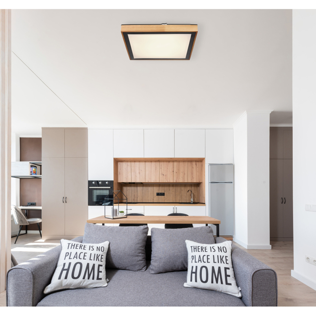 Stropné svietidlo BRUNO - 24W, 2500/1020lm, IP20 - 41764-24Q