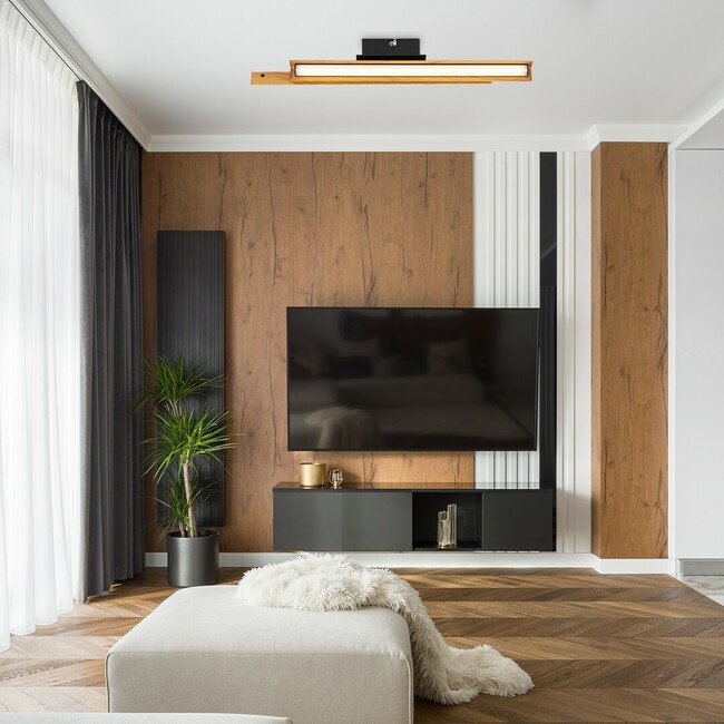 Stropné svietidlo REMIEL - LED/12W,3000K, IP20 - 71045