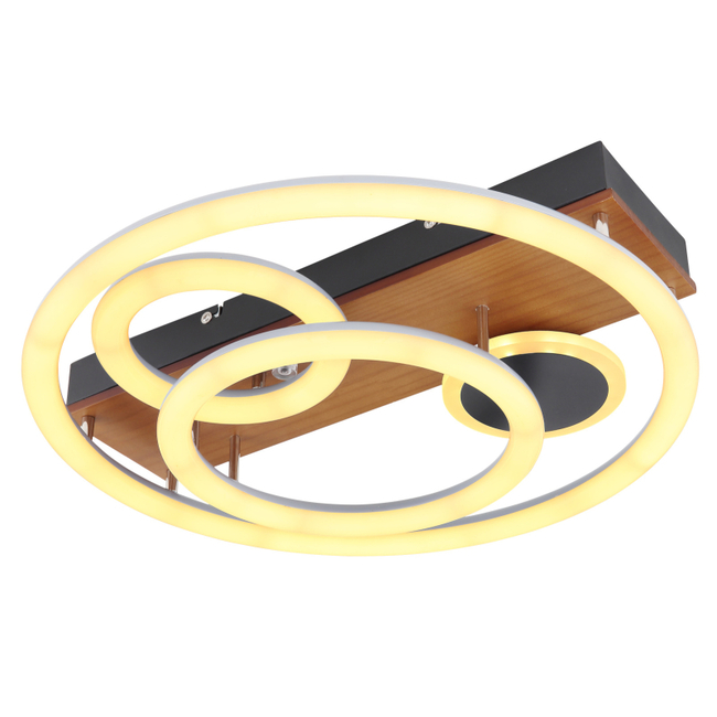 Stropné svietidlo DARRYL - 55W,5800/3200lm, IP20 - 67265-55