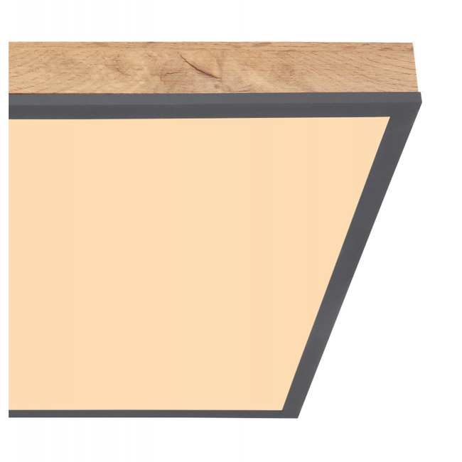 Stropné svietidlo DORO - 416080WD2