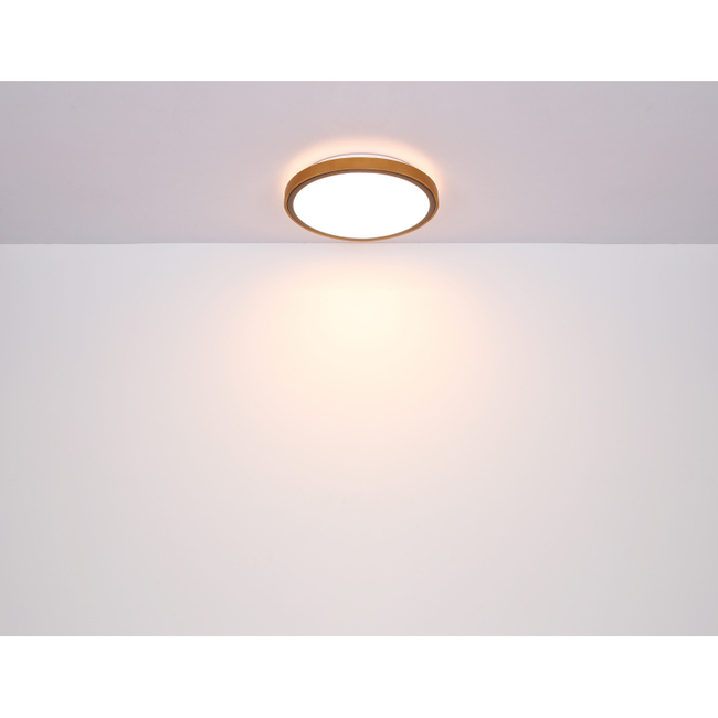 Stropné svietidlo BRUNO - 12W, 1200/530lm, IP20 - 41764-12