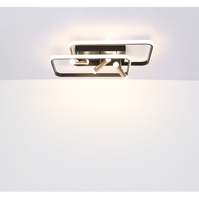 Stropné svietidlo COCO - 55W, 5500/2300lm, IP20 - 67301D
