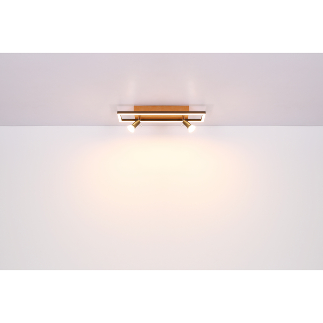 Stropné svietidlo IDA - 8W, 800/500lm, IP20 - 57034-1