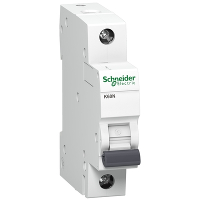 Istič SCHNEIDER K60N 1/B 25A