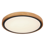 Stropné svietidlo BRUNO - 12W, 1200/530lm, IP20 - 41764-12