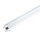 Žiarivková trubica T8, 36W, 120cm, 6500K