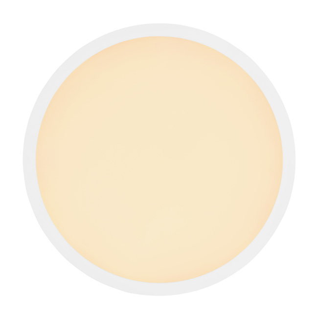 Stropné svietidlo SAPANA - 41562-24W