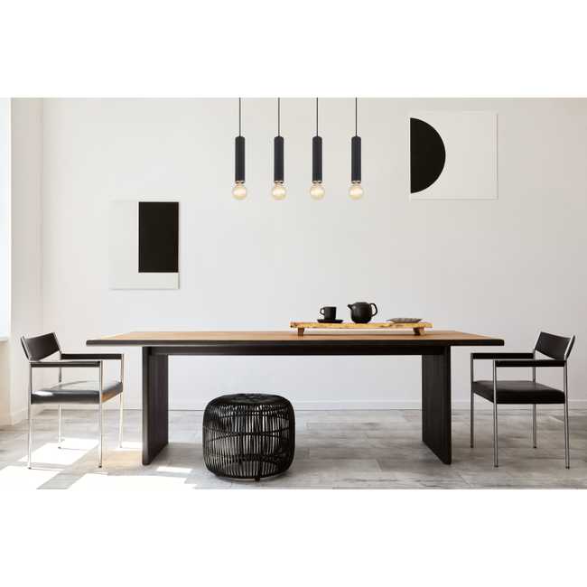 Závesné svietidlo MARION  - 60W,E27,IP20 - 15499-4H