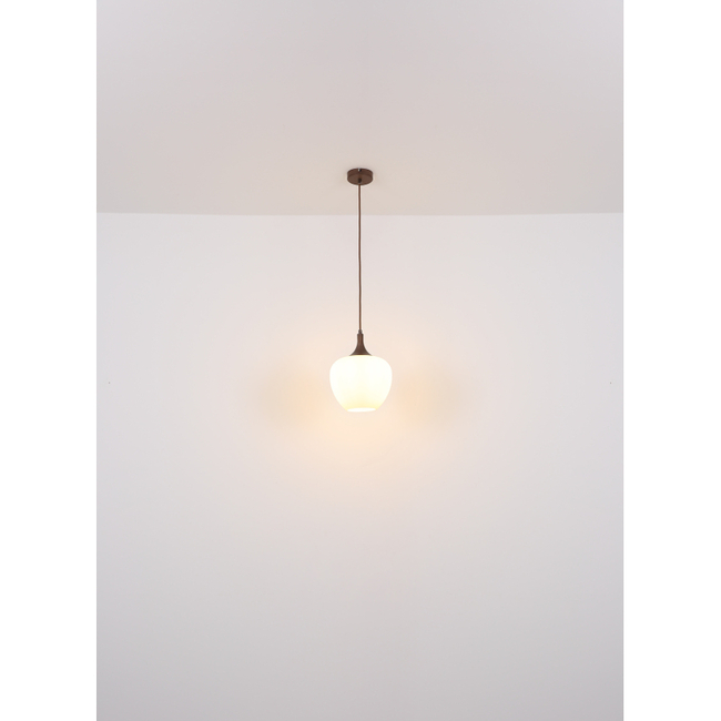 Závesné svietidlo MAXY - 60W, E27, IP20 - 15548HC