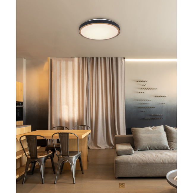 Stropné svietidlo SAMMI - 24W, 2400/1097lm, IP20 - 41765-24