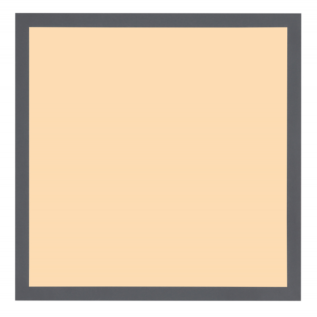 Stropné svietidlo DORO - 416080WD1