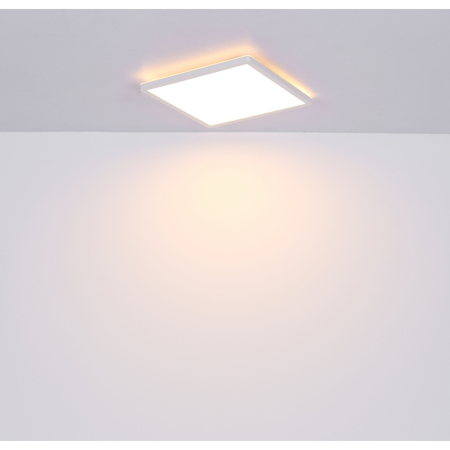 Stropné svietidlo SAPANA - 24W, 2700/2300lm, IP44 - 41563-24W