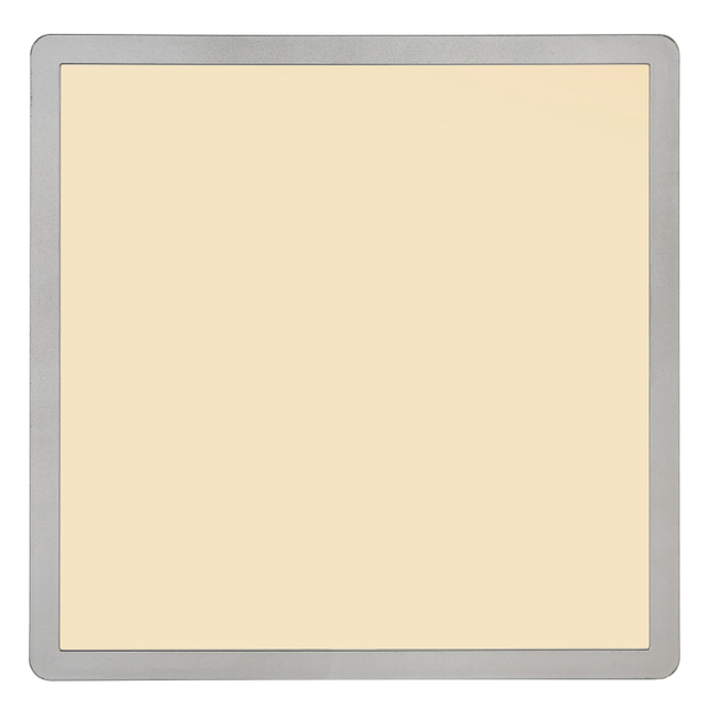 Stropné svietidlo SAPANA - 24W,2700/2300lm,IP44 - 41563-24N