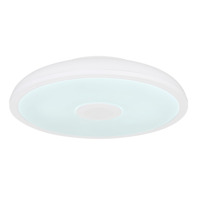 Stropné svietidlo RAFFY - 41366W