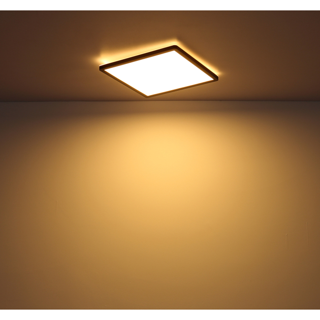 Stropné svietidlo SAPANA - 24W, 2700/2300lm, IP44 - 41563-24B