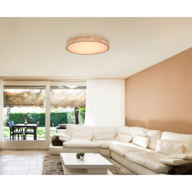 Stropné svietidlo RAINER - 48W, 3960/3100lm, IP20 - 41745-48