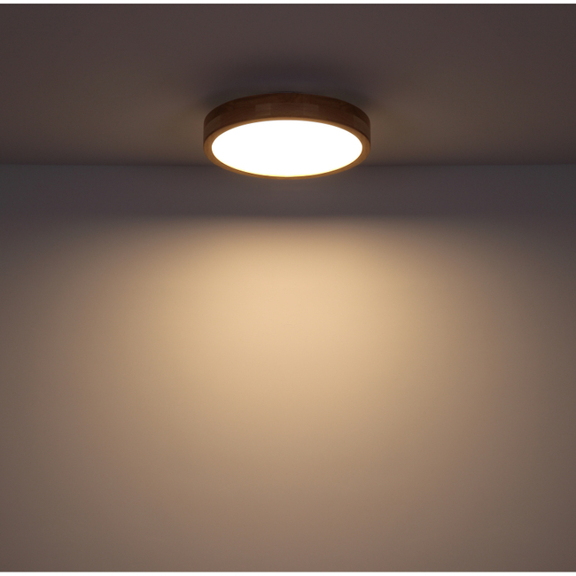 Stropné svietidlo RAINER - 24W, 1960/1350lm, IP20 - 41745-24