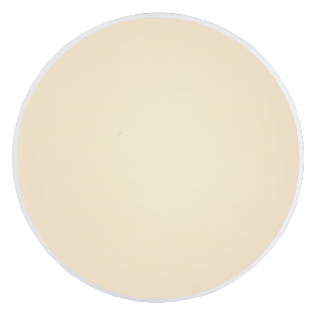 Stropné svietidlo SONNY - 24W, 2400/1800lm, IP20 - 41586-24