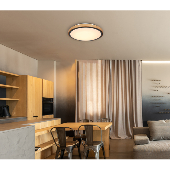 Stropné svietidlo BRUNO - 24W,2400/1000lm,IP20 - 41764-24