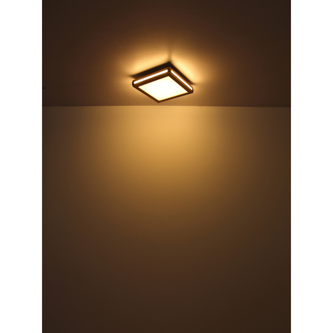 Stropné svietidlo CARLA - 12W,1480/750lm,IP20 - 41589D1