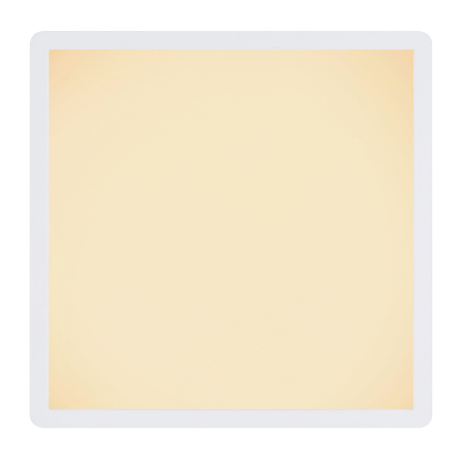 Stropné svietidlo SAPANA - 41563-18W