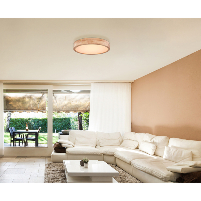 Stropné svietidlo RAINER - 24W, 1960/1350lm, IP20 - 41745-24