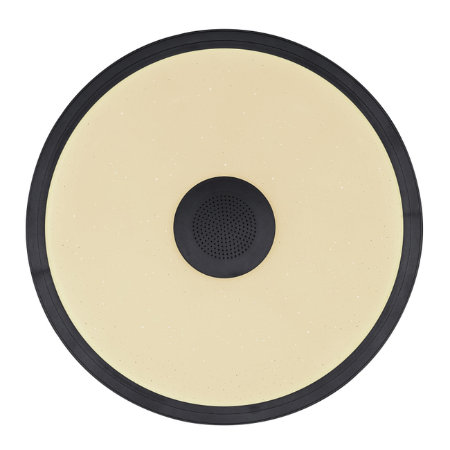 Stropné svietidlo RAFFY - 41366B