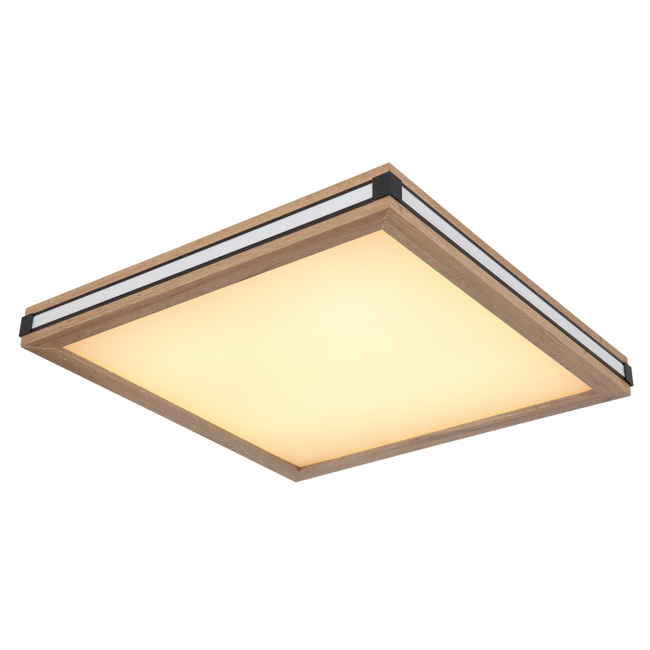 Stropné svietidlo CARLA - 24W,2650/1340lm,IP20 - 41589D2