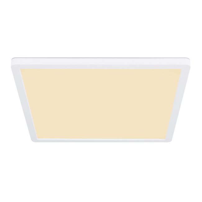 Stropné svietidlo SAPANA - 24W, 2700/2300lm, IP44 - 41563-24W