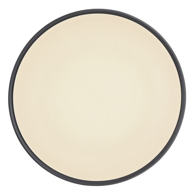 Stropné svietidlo SONNY - 24W, 2400/1300lm, IP20 - 41587-24