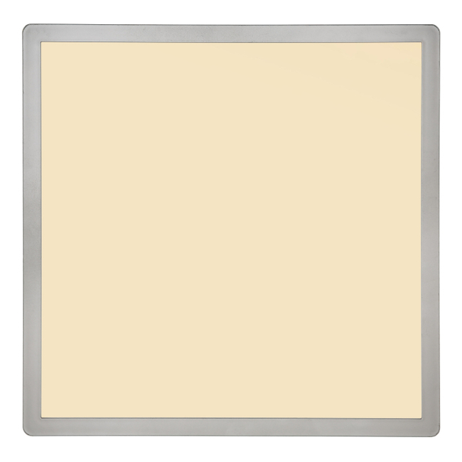 Stropné svietidlo SAPANA - 18W,2100/1600lm,IP44 - 41563-18N