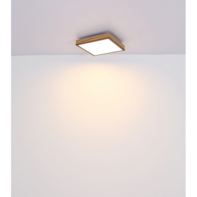 Stropné svietidlo DORO - 416080WD1