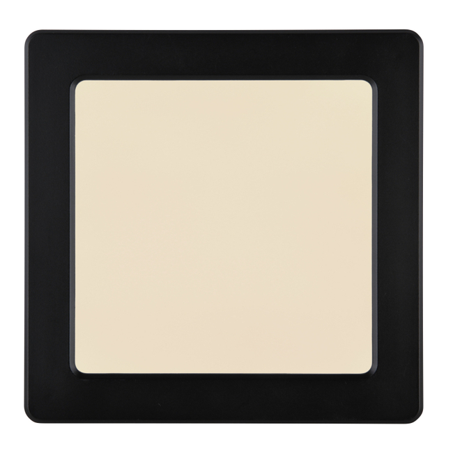 Stropné svietidlo LASSE - 12W,1050/900lm,IP20 - 12380-12B