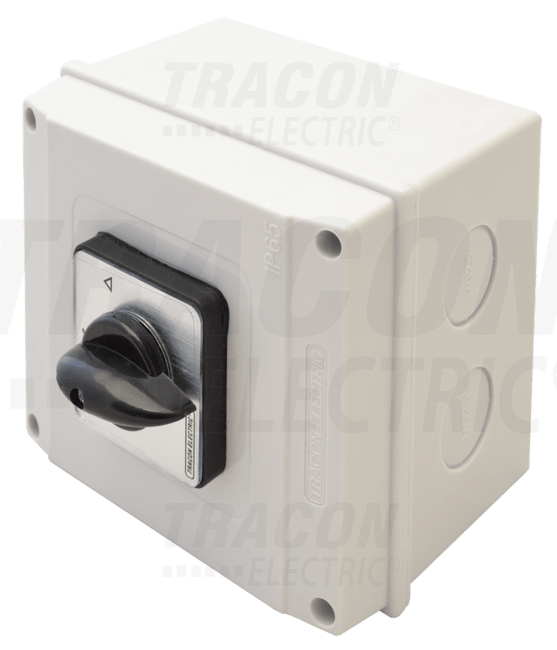 Vypínač vačkový (H*T), 25A