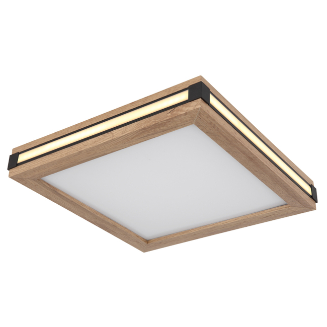 Stropné svietidlo CARLA - 12W,1480/750lm,IP20 - 41589D1