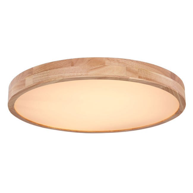 Stropné svietidlo RAINER - 48W, 3960/3100lm, IP20 - 41745-48